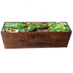 Florex Pots, Cache-pots Et Jardinières D'extérieur Kit Prêt à Pousser - Herbes De Cuisine Italiennes