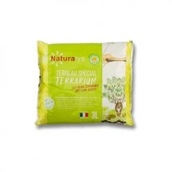 Naturalys Plantes D'intérieur Et Fleurs D'intérieur Kit Terrarium Plantes Bonbonne M (23 X 41 Cm) -Parasols Soldes Magasin kit terrarium plantes bonbonne m 23 x 41 cm 3