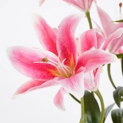 Mica Decorations Plantes D'intérieur Et Fleurs D'intérieur Lis Tigré Artificielle Fuchsia En Pot H47 -Parasols Soldes Magasin lis tigre artificielle fuchsia en pot h47 1