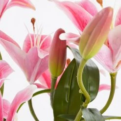 Mica Decorations Plantes D'intérieur Et Fleurs D'intérieur Lis Tigré Artificielle Fuchsia En Pot H47 -Parasols Soldes Magasin lis tigre artificielle fuchsia en pot h47 2