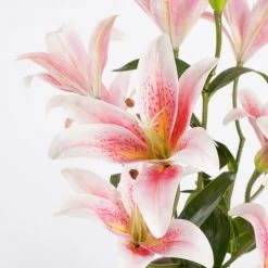 Mica Decorations Plantes D'intérieur Et Fleurs D'intérieur Lis Tigré Artificielle Rose En Pot H47 -Parasols Soldes Magasin lis tigre artificielle rose en pot h47 3