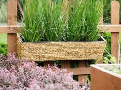 Beliani Pots, Cache-pots Et Jardinières D'extérieur Lot De 2 Jardinières Rectangulaires Beige Sable 80x60 -Parasols Soldes Magasin lot de 2 jardinieres rectangulaires beige sable 80x60 2