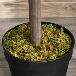 Outsunny Plantes D'intérieur Et Fleurs D'intérieur Lot De 2 Lauriers Boules Artificiels H.0,90 M Pot Inclus Noir Vert -Parasols Soldes Magasin lot de 2 lauriers boules artificiels h 0 90 m pot inclus noir vert 5