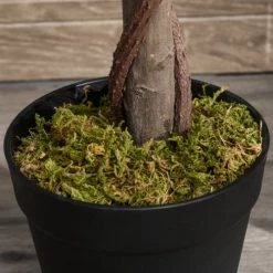 Outsunny Plantes D'intérieur Et Fleurs D'intérieur Lot De 2 Lauriers Boules Artificiels H.1,20H M Pot Inclus Noir Vert 13 Outsunny Plantes D'intérieur Et Fleurs D'intérieur Lot De 2 Lauriers Boules Artificiels H.1,20H M Pot Inclus Noir Vert -Parasols Soldes Magasin lot de 2 lauriers boules artificiels h 1 20h m pot inclus noir vert 5