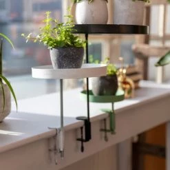 Esschert Design Pots, Cache-pots Et Jardinières D'extérieur Lot De 2 Supports Ronds Pour Plantes 18cm 11 Esschert Design Pots, Cache-pots Et Jardinières D'extérieur Lot De 2 Supports Ronds Pour Plantes 18cm -Parasols Soldes Magasin lot de 2 supports ronds pour plantes 18cm 3