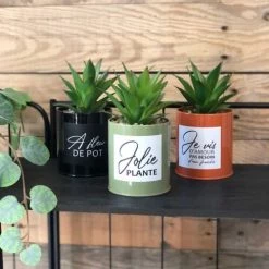 Ligne Déco Plantes D'intérieur Et Fleurs D'intérieur Lot De 3 Succulentes Artificielles En Pot à Message En Métal Coloré -Parasols Soldes Magasin lot de 3 succulentes artificielles en pot a message en metal colore 1
