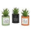 Ligne Déco Plantes D'intérieur Et Fleurs D'intérieur Lot De 3 Succulentes Artificielles En Pot à Message En Métal Coloré -Parasols Soldes Magasin lot de 3 succulentes artificielles en pot a message en metal colore