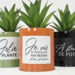 Ligne Déco Plantes D'intérieur Et Fleurs D'intérieur Lot De 3 Succulentes Artificielles En Pot à Message En Métal Coloré -Parasols Soldes Magasin lot de 3 succulentes artificielles en pot a message en metal colore 2