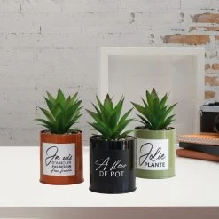Ligne Déco Plantes D'intérieur Et Fleurs D'intérieur Lot De 3 Succulentes Artificielles En Pot à Message En Métal Coloré -Parasols Soldes Magasin lot de 3 succulentes artificielles en pot a message en metal colore 3