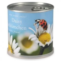 Mac Flower's Plantes D'intérieur Et Fleurs D'intérieur Marguerites à Faire Pousser En Boite