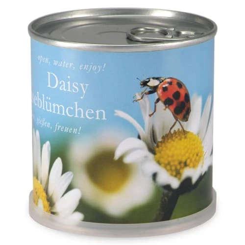 Mac Flower's Plantes D'intérieur Et Fleurs D'intérieur Marguerites à Faire Pousser En Boite 3 Mac Flower's Plantes D'intérieur Et Fleurs D'intérieur Marguerites à Faire Pousser En Boite