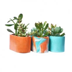 Junny Pots, Cache-pots Et Jardinières D'extérieur Mini Jardinière Tie&dye Béton Orange Et Turquoise -Parasols Soldes Magasin mini jardiniere tie dye beton orange et turquoise 2