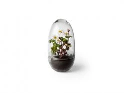 Design House Stockholm Plantes D'intérieur Et Fleurs D'intérieur Mini-serre Grow Verre Fait à La Main Transparent L