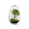 Design House Stockholm Plantes D'intérieur Et Fleurs D'intérieur Mini-serre Grow Verre Fait à La Main Transparent XL