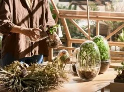 Design House Stockholm Plantes D'intérieur Et Fleurs D'intérieur Mini-serre Grow Verre Fait à La Main Transparent XL -Parasols Soldes Magasin mini serre grow verre fait a la main transparent xl 2