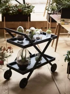 Design House Stockholm Plantes D'intérieur Et Fleurs D'intérieur Mini-serre Grow Verre Fait à La Main Transparent XL -Parasols Soldes Magasin mini serre grow verre fait a la main transparent xl 4