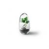 Design House Stockholm Plantes D'intérieur Et Fleurs D'intérieur Mini-serre Grow Verre Soufflé Transparent S