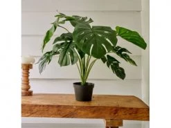 Kaemingk Plantes D'intérieur Et Fleurs D'intérieur Monstera Artificiel -Parasols Soldes Magasin monstera artificiel 1