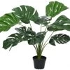 Kaemingk Plantes D'intérieur Et Fleurs D'intérieur Monstera Artificiel 1 Kaemingk Plantes D'intérieur Et Fleurs D'intérieur Monstera Artificiel -Parasols Soldes Magasin monstera artificiel