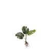 Mica Decorations Plantes D'intérieur Et Fleurs D'intérieur Monstera Artificielle Verte H54 -Parasols Soldes Magasin monstera artificielle verte h54