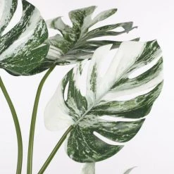 Mica Decorations Plantes D'intérieur Et Fleurs D'intérieur Monstera Artificielle Verte Panaché H43 -Parasols Soldes Magasin monstera artificielle verte panache h43 2