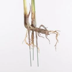 Mica Decorations Plantes D'intérieur Et Fleurs D'intérieur Monstera Artificielle Verte Panaché H43 -Parasols Soldes Magasin monstera artificielle verte panache h43 3