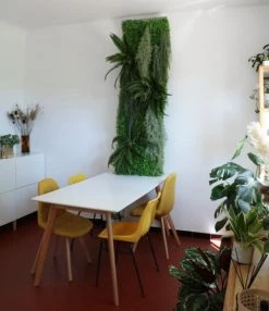 Ligne Déco Plantes D'intérieur Et Fleurs D'intérieur Mur Végétal Artificiel 200cm - Kit 12 Pièces 7 Ligne Déco Plantes D'intérieur Et Fleurs D'intérieur Mur Végétal Artificiel 200cm - Kit 12 Pièces -Parasols Soldes Magasin mur vegetal artificiel 200cm kit 12 pieces 2