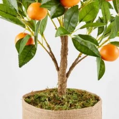 Oviala Plantes D'intérieur Et Fleurs D'intérieur Oranger Artificiel -Parasols Soldes Magasin oranger artificiel 1