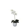 Mica Decorations Plantes D'intérieur Et Fleurs D'intérieur Orchidée Artificielle Blanche En Pot H48 -Parasols Soldes Magasin orchidee artificielle blanche en pot h48 1