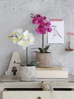 Mica Decorations Plantes D'intérieur Et Fleurs D'intérieur Orchidée Artificielle Blanche En Pot H48 -Parasols Soldes Magasin orchidee artificielle blanche en pot h48 2