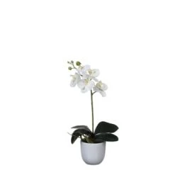 Mica Decorations Plantes D'intérieur Et Fleurs D'intérieur Orchidée Artificielle Blanche En Pot H48 -Parasols Soldes Magasin orchidee artificielle blanche en pot h48 3