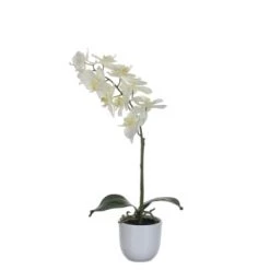 Mica Decorations Plantes D'intérieur Et Fleurs D'intérieur Orchidée Artificielle Violette En Pot H60 -Parasols Soldes Magasin orchidee artificielle blanche en pot h60