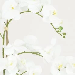 Ligne Déco Plantes D'intérieur Et Fleurs D'intérieur Orchidée Artificielle Blanche Géante Pot Noir Brillant 135cm -Parasols Soldes Magasin orchidee artificielle blanche geante pot noir brillant 135cm 2