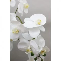 Ligne Déco Plantes D'intérieur Et Fleurs D'intérieur Orchidée Artificielle Blanche Géante Pot Noir Brillant 135cm -Parasols Soldes Magasin orchidee artificielle blanche geante pot noir brillant 135cm 3