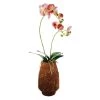 Sia Deco Plantes D'intérieur Et Fleurs D'intérieur Orchidée Artificielle En Pot En Argile H63 -Parasols Soldes Magasin orchidee artificielle en pot en argile h63