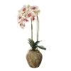 Sia Deco Plantes D'intérieur Et Fleurs D'intérieur Orchidée Artificielle En Pot En Argile H71 -Parasols Soldes Magasin orchidee artificielle en pot en argile h71