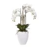 Sia Deco Plantes D'intérieur Et Fleurs D'intérieur Orchidée Artificielle En Pot SANA H85 -Parasols Soldes Magasin orchidee artificielle en pot sana h85