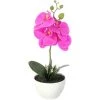 The Home Deco Factory Plantes D'intérieur Et Fleurs D'intérieur Orchidée Artificielle Pot En Céramique 30 Cm Fuschia -Parasols Soldes Magasin orchidee artificielle pot en ceramique 30 cm fuschia
