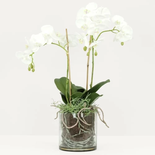 Ligne Déco Plantes D'intérieur Et Fleurs D'intérieur Orchidée Artificielle Toucher Naturel En Pot En Verre H65cm 4 Ligne Déco Plantes D'intérieur Et Fleurs D'intérieur Orchidée Artificielle Toucher Naturel En Pot En Verre H65cm – Image 2