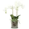 Ligne Déco Plantes D'intérieur Et Fleurs D'intérieur Orchidée Artificielle Toucher Naturel En Pot En Verre H65cm -Parasols Soldes Magasin orchidee artificielle toucher naturel en pot en verre h65cm