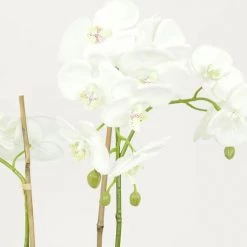 Ligne Déco Plantes D'intérieur Et Fleurs D'intérieur Orchidée Artificielle Toucher Naturel En Pot En Verre H65cm 8 Ligne Déco Plantes D'intérieur Et Fleurs D'intérieur Orchidée Artificielle Toucher Naturel En Pot En Verre H65cm -Parasols Soldes Magasin orchidee artificielle toucher naturel en pot en verre h65cm 2