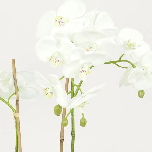 Ligne Déco Plantes D'intérieur Et Fleurs D'intérieur Orchidée Artificielle Toucher Naturel En Pot En Verre H65cm 5 Ligne Déco Plantes D'intérieur Et Fleurs D'intérieur Orchidée Artificielle Toucher Naturel En Pot En Verre H65cm – Image 3