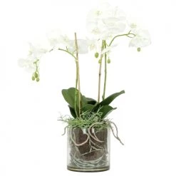 Ligne Déco Plantes D'intérieur Et Fleurs D'intérieur Orchidée Artificielle Toucher Naturel En Pot En Verre H65cm