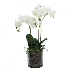 Ligne Déco Plantes D'intérieur Et Fleurs D'intérieur Orchidée Artificielle Toucher Naturel En Pot En Verre H65cm 9 Ligne Déco Plantes D'intérieur Et Fleurs D'intérieur Orchidée Artificielle Toucher Naturel En Pot En Verre H65cm -Parasols Soldes Magasin orchidee artificielle toucher naturel en pot en verre h65cm 3