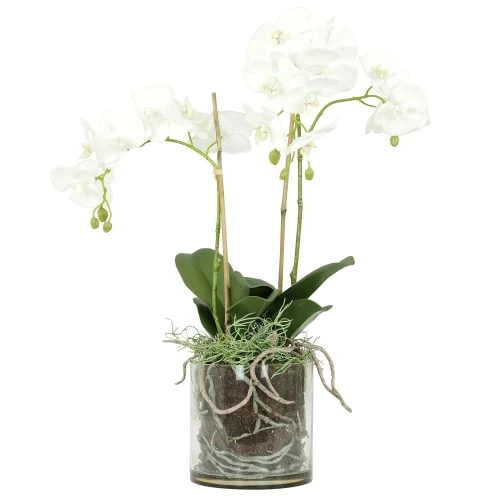 Ligne Déco Plantes D'intérieur Et Fleurs D'intérieur Orchidée Artificielle Toucher Naturel En Pot En Verre H65cm 3 Ligne Déco Plantes D'intérieur Et Fleurs D'intérieur Orchidée Artificielle Toucher Naturel En Pot En Verre H65cm