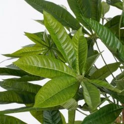 Mica Decorations Plantes D'intérieur Et Fleurs D'intérieur Pachira Artificielle En Pot H80 -Parasols Soldes Magasin pachira artificielle en pot h80 2