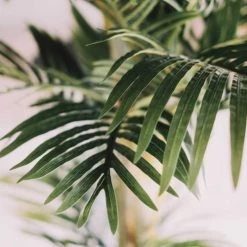 Oviala Plantes D'intérieur Et Fleurs D'intérieur Palmier Artificiel Avec Pot Habillé De Cordage H210cm -Parasols Soldes Magasin palmier artificiel avec pot habille de cordage h210cm 2