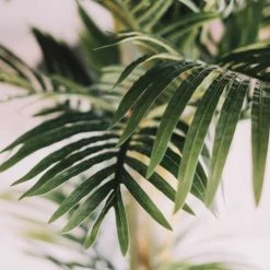 Oviala Plantes D'intérieur Et Fleurs D'intérieur Palmier Artificiel Avec Pot Habillé De Cordage H210cm -Parasols Soldes Magasin palmier artificiel avec pot habille de cordage h210cm 5