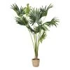 Maisons Du Monde Plantes D'extérieur Artificielles Palmier Artificiel Et Pot Tressé H146 -Parasols Soldes Magasin palmier artificiel et pot tresse h146 1000 2 38 204546 1