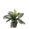 Mica Decorations Plantes D'intérieur Et Fleurs D'intérieur Palmier Cycas Artificielle En Pot H33 -Parasols Soldes Magasin palmier cycas artificielle en pot h33